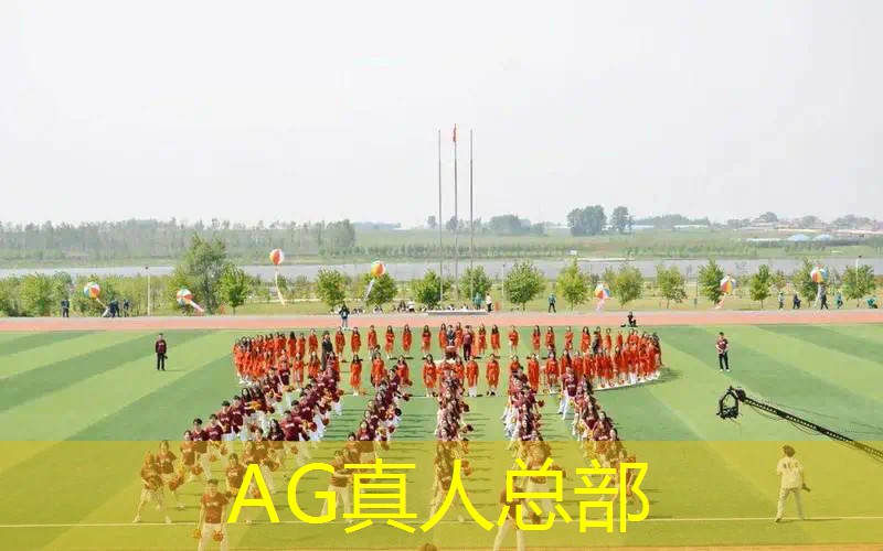 Ag平台官方网站：最强打击感的3d游戏是什么