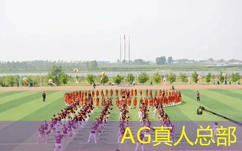 AG真人公司：国内游戏圈原画抄袭严重