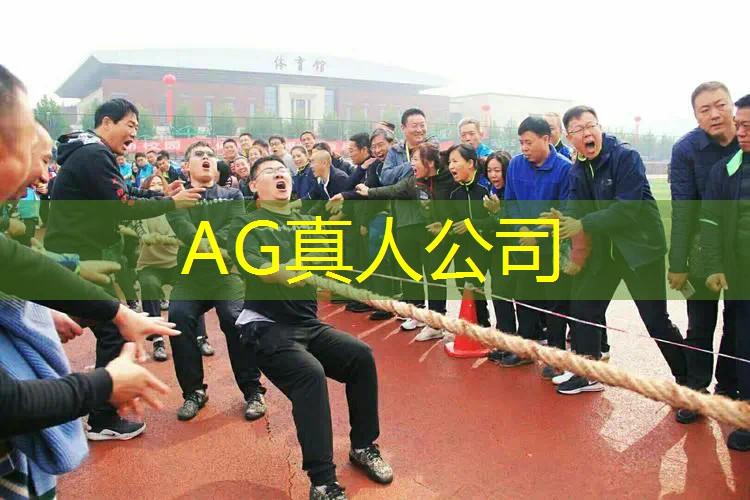 ag真人平台官方：游戏原画风格分为什么和什么