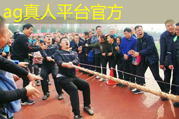 AG真人：手机游戏原画质怎么设置