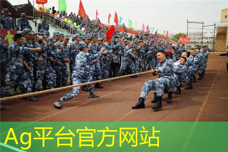 ag真人平台官方：怀旧3d模拟经营游戏