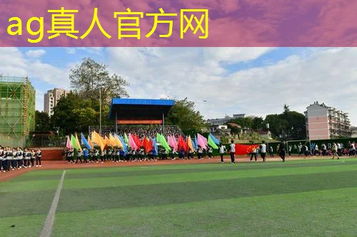 AG真人国际官网：电脑3d开车游戏名字叫什么