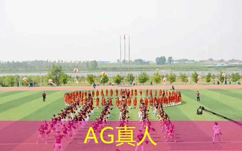 伐木3d小游戏第三片森林