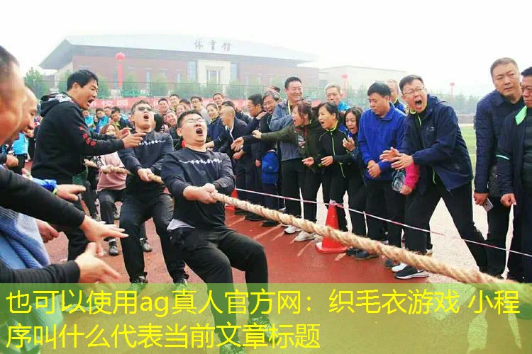 ag真人官方网：织毛衣游戏 小程序叫什么