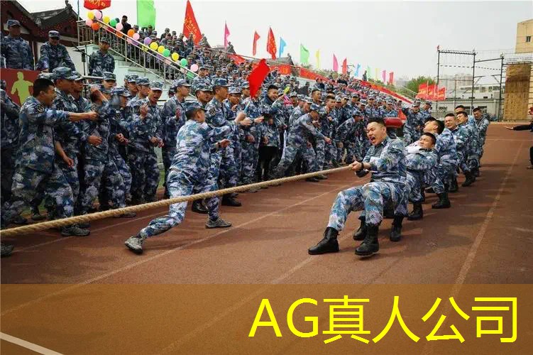 ag真人平台官方：ps1 3d动作游戏城市里