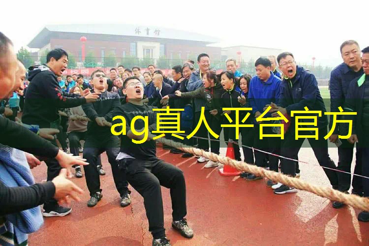 Ag平台官方网站：游戏原画测试前问什么