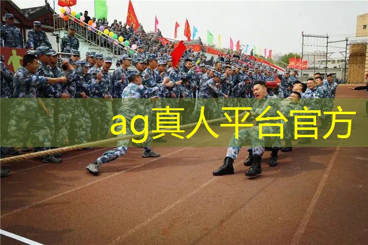 游戏3d相册玩法介绍大全