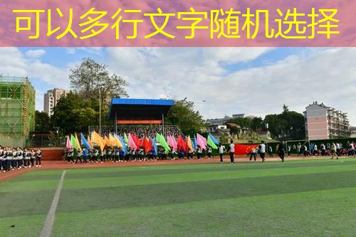 采集游戏小程序叫什么
