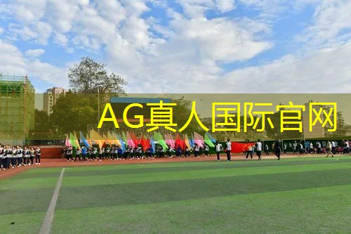 电脑3d开车游戏名字叫什么