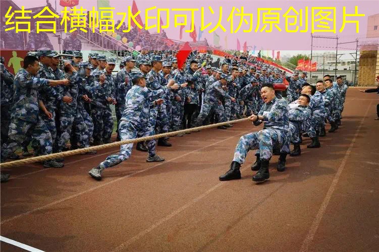 可以随便动的3d游戏有哪些