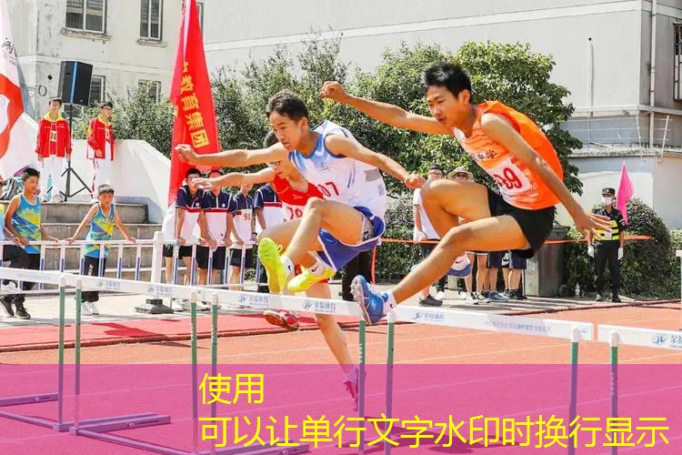 日本3d街机机甲对战游戏