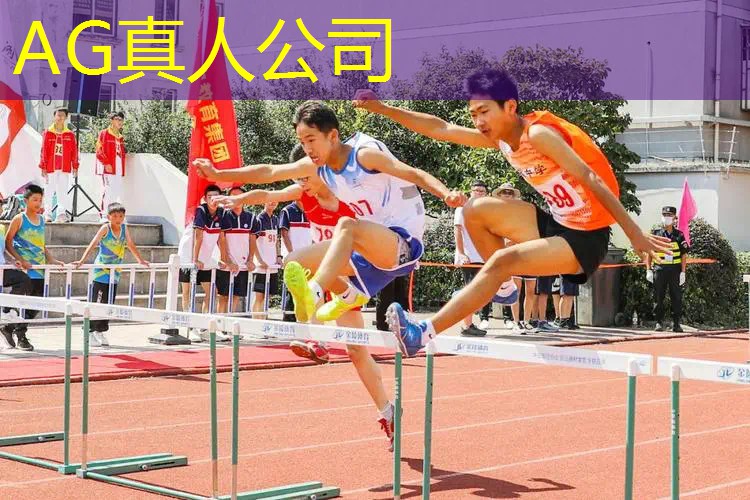 3d杂物消除游戏动物