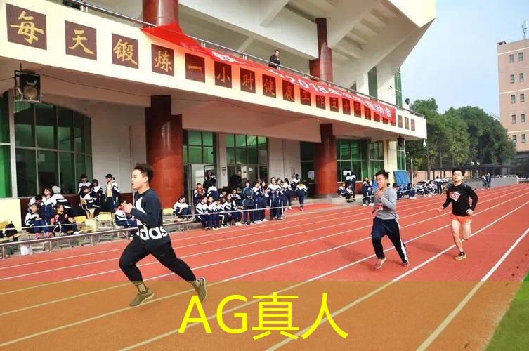 骑士在古堡中3D格斗游戏