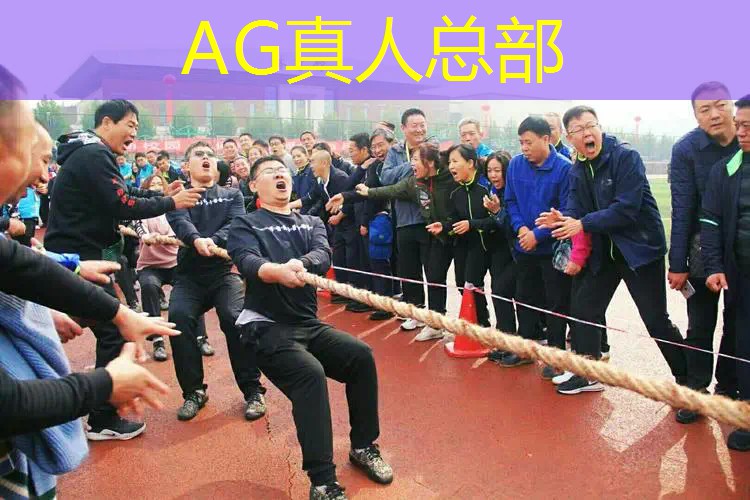 n卡要不要自动优化游戏和应用程序