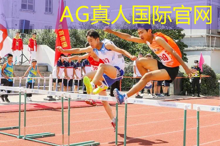 3d版两位君主的游戏叫什么