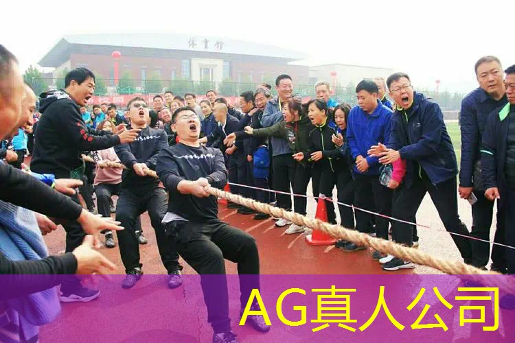 双人解密游戏手游3d