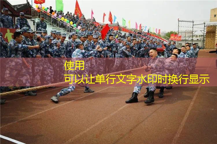 高画质3d回合制单机游戏